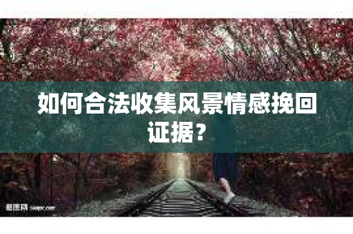 如何合法收集风景情感挽回证据？