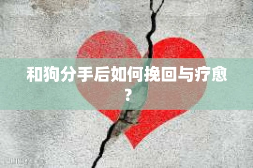和狗分手后如何挽回与疗愈？