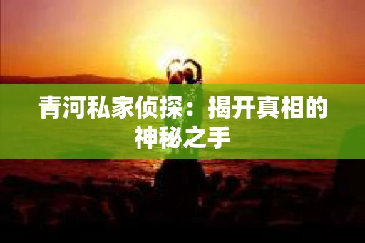 青河私家侦探：揭开真相的神秘之手