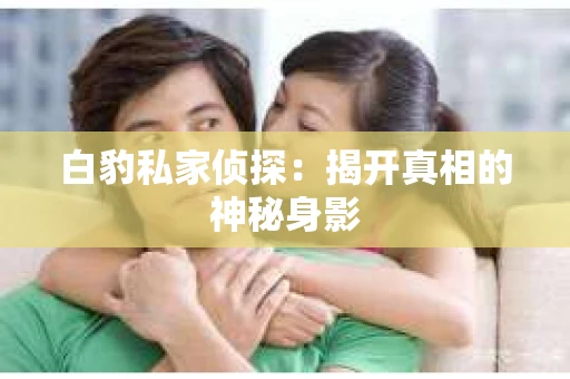 白豹私家侦探：揭开真相的神秘身影