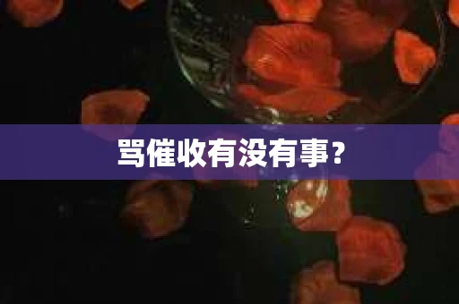 骂催收有没有事？
