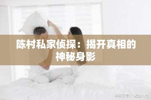 陈村私家侦探：揭开真相的神秘身影