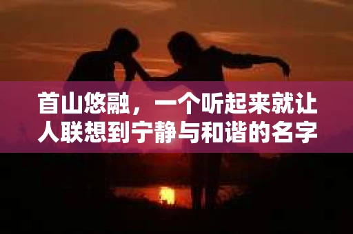 首山悠融，一个听起来就让人联想到宁静与和谐的名字，却因为催收短信这一行为，让这个名字在一些人心中蒙上了一层阴影。今天，我们就来聊聊首山悠融的催收短信，看看这其中的故事。