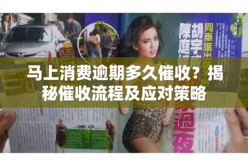 马上消费逾期多久催收？揭秘催收流程及应对策略
