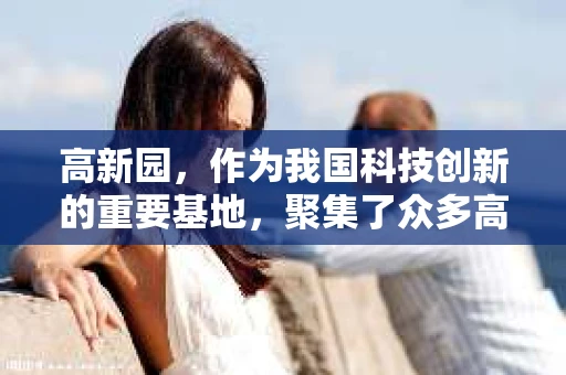 高新园，作为我国科技创新的重要基地，聚集了众多高新技术企业和金融机构。然而，随着市场竞争的加剧，一些企业难免会遇到应收账款无法收回的情况。这时，催收公司的作用就显现出来了。那么，高新园有哪些催收公司呢？今天，我们就来聊聊这个话题。