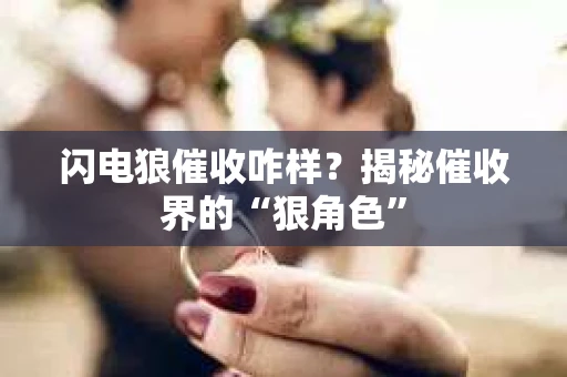 闪电狼催收咋样？揭秘催收界的“狠角色”