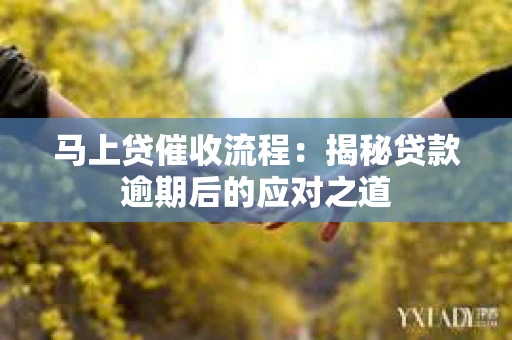 马上贷催收流程：揭秘贷款逾期后的应对之道