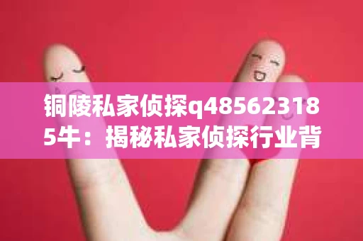 铜陵私家侦探q485623185牛：揭秘私家侦探行业背后的故事