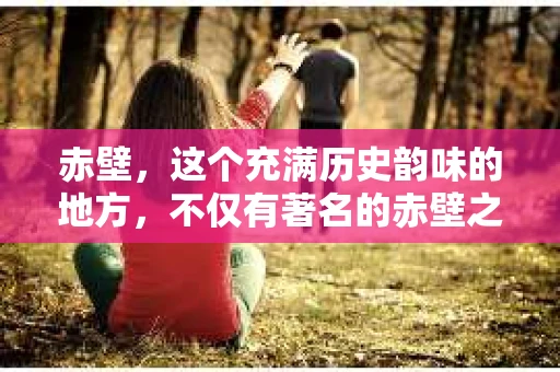 赤壁，这个充满历史韵味的地方，不仅有著名的赤壁之战遗址，还有许多现代元素。今天，我们就来聊聊赤壁有没有私家侦探公司。