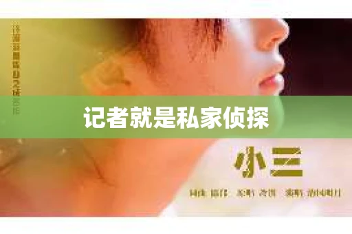 记者就是私家侦探