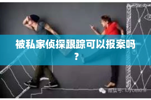 被私家侦探跟踪可以报案吗？