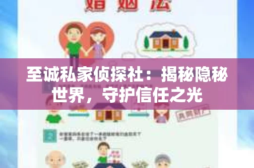 至诚私家侦探社：揭秘隐秘世界，守护信任之光